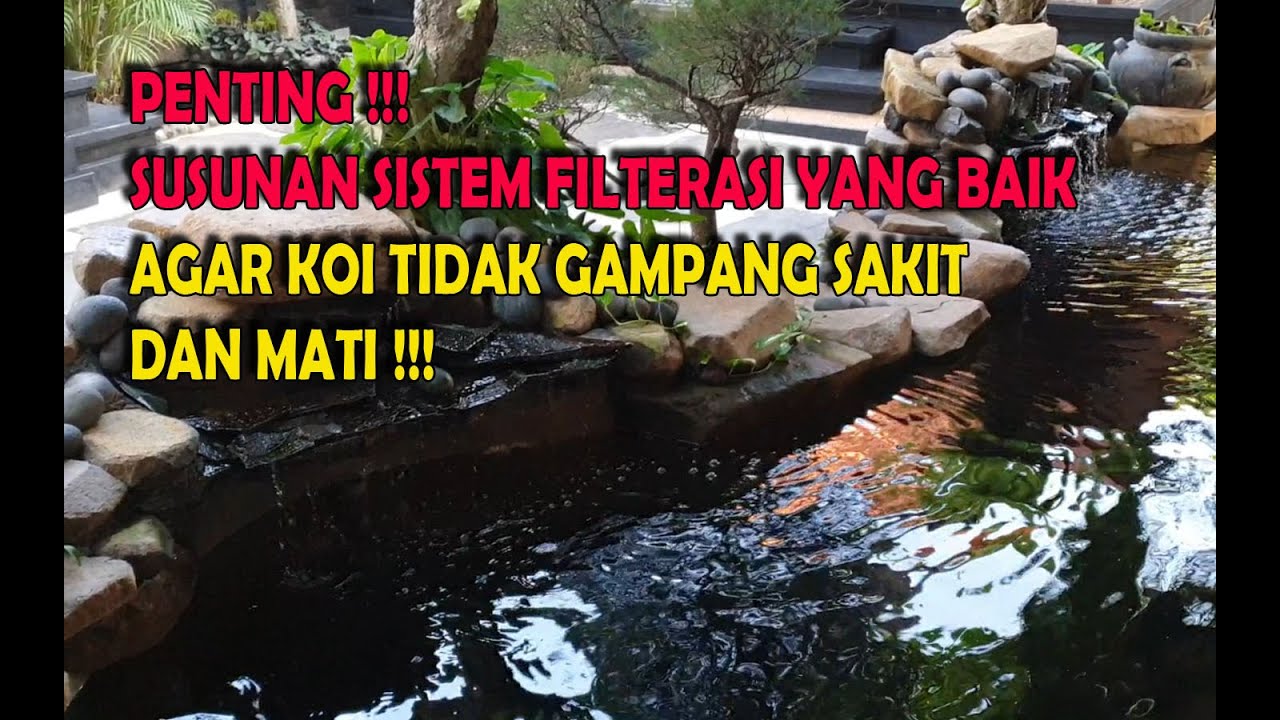 SUSUNAN SISTEM FILTERASI KOLAM KOI YANG BAIK DAN FUNGSINYA
