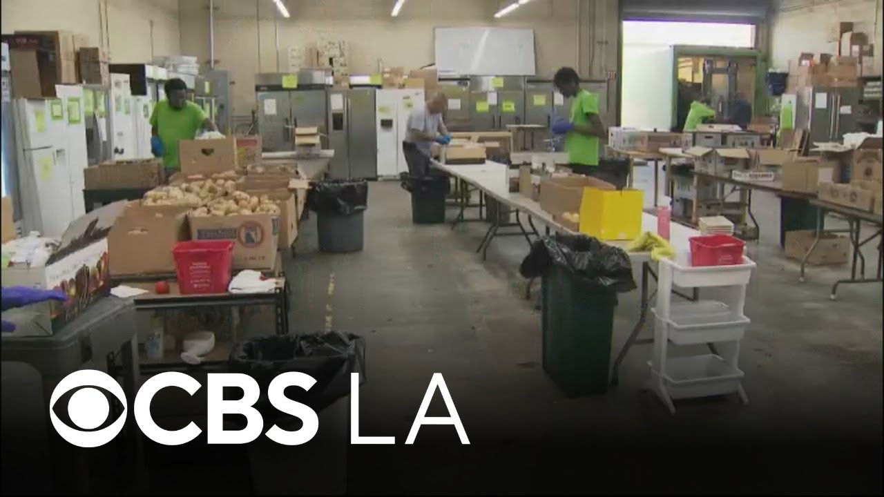 California, 24 other states sue Trump administration over food stamp funding freeze