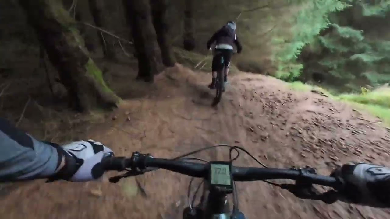 Glentress | Hammertime