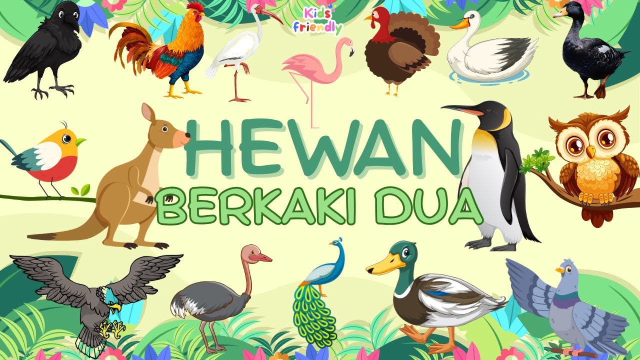 HEWAN BERKAKI DUA | BELAJAR MENGENAL HEWAN BERKAKI 2 | AYAM, BEBEK, KANGURU, PENGUIN | KIDS FRIENDLY