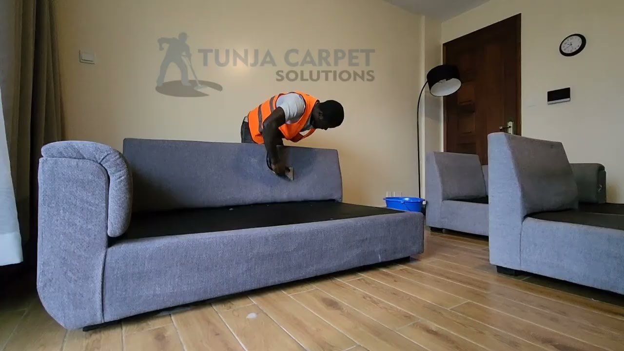 Sofa cleaning Asmr 