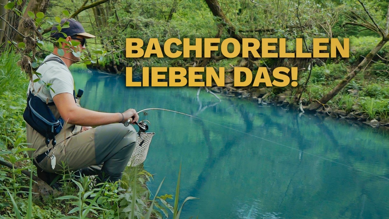 Dieser Softbait macht Forellen verr&uuml;ckt 🎣 Forellenangeln am Fluss