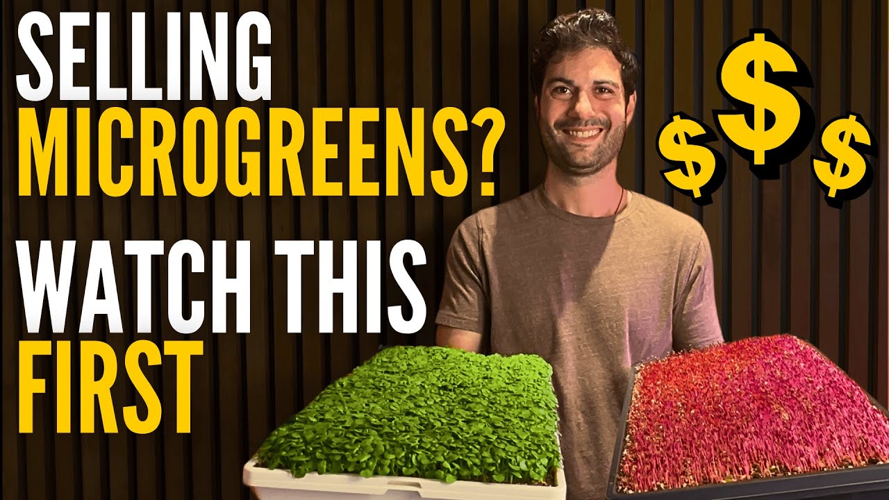 How to Sell Microgreens (Without Farmers Markets) | Free Mini Course