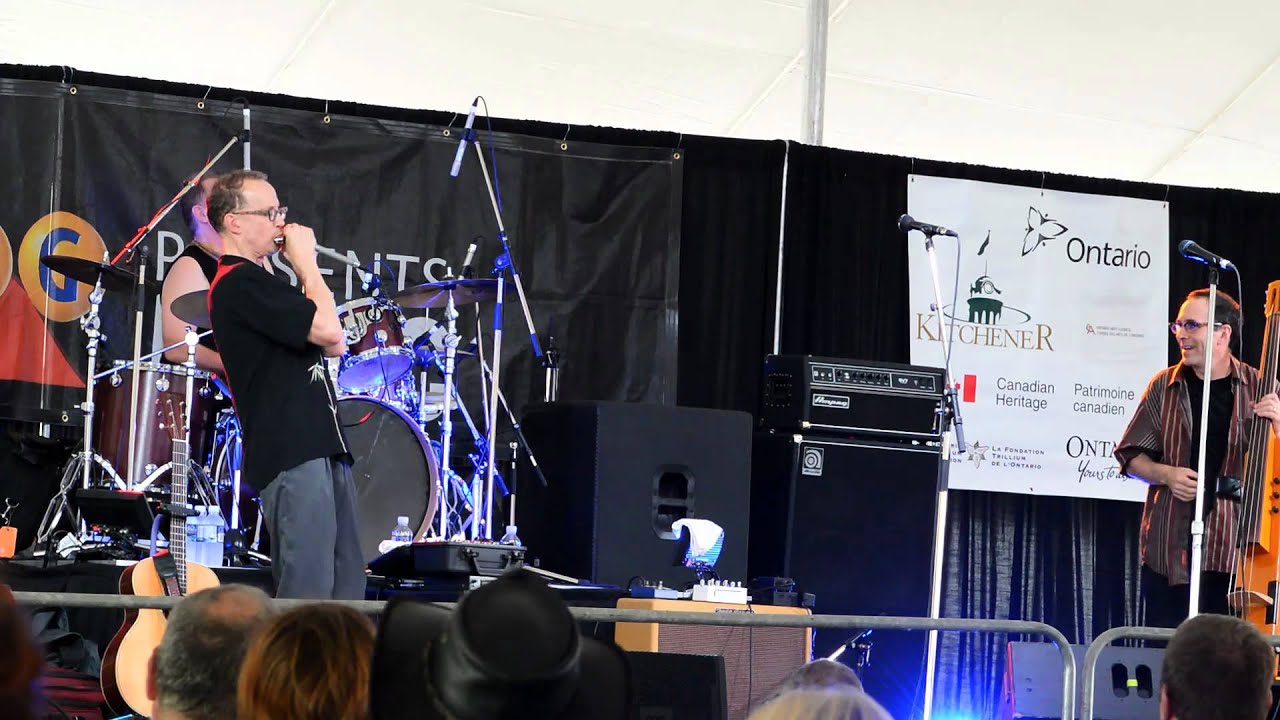 Carlos del Junco and the Blues Mongrels