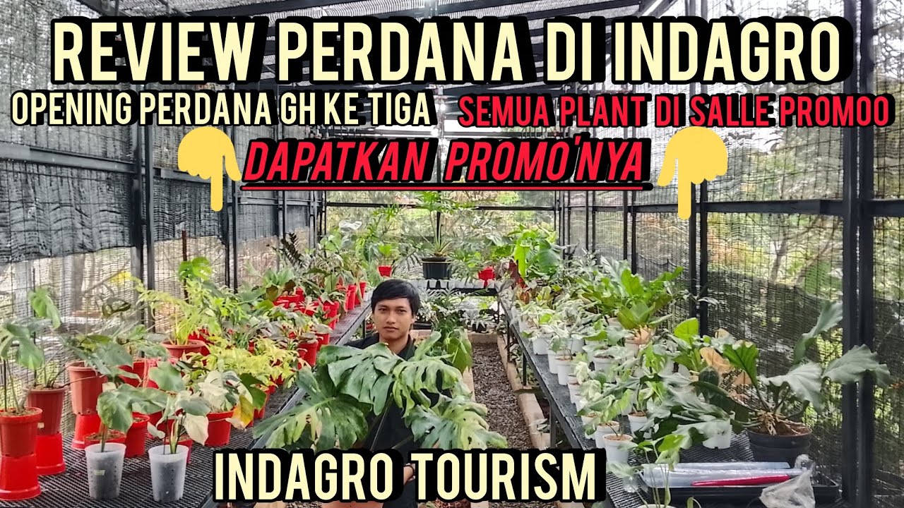 INDAGRO TOURISM A1 GREEN‼️PERDANA REVIEW GREEN HOUSE BARU DAPATKAN PROMO'NYA 