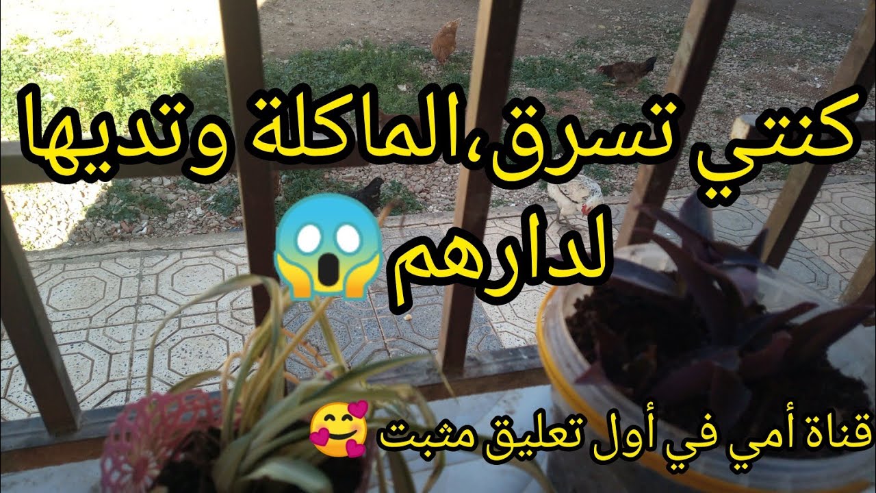 كنتي  تدي الماكلة بلا رضايتي لدارهم 😱خلاتني😭