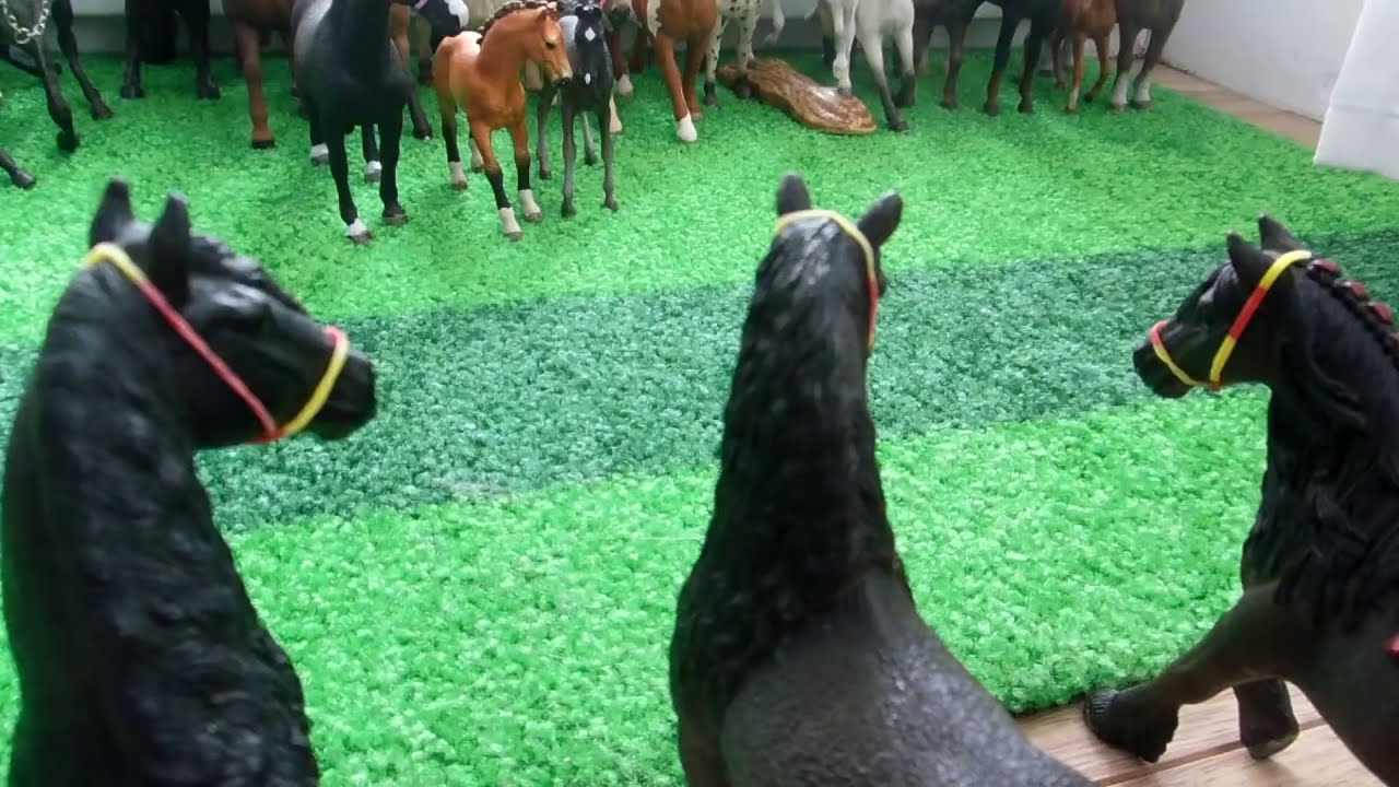 Serial schleich:Przygody w Stadninie 