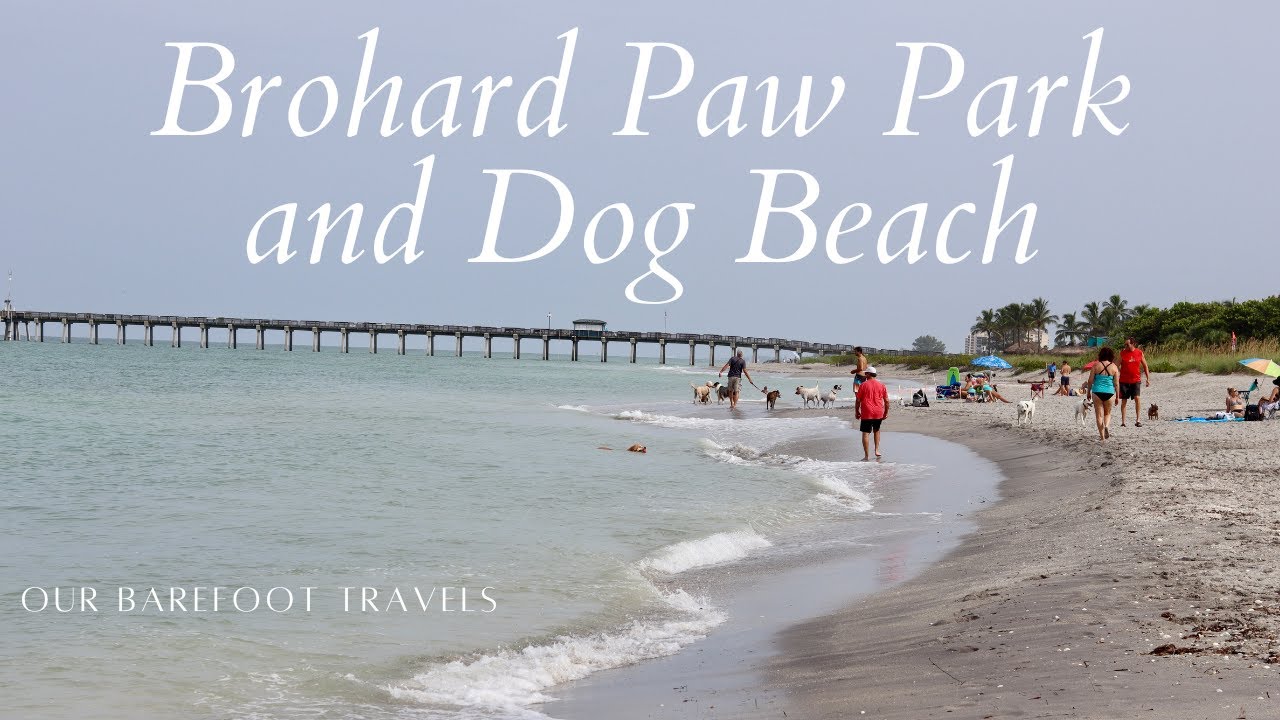 Brohard Paw Park and Dog Beach | Sarasota County | Venice Florida | Beach Walking Tour | Dogs