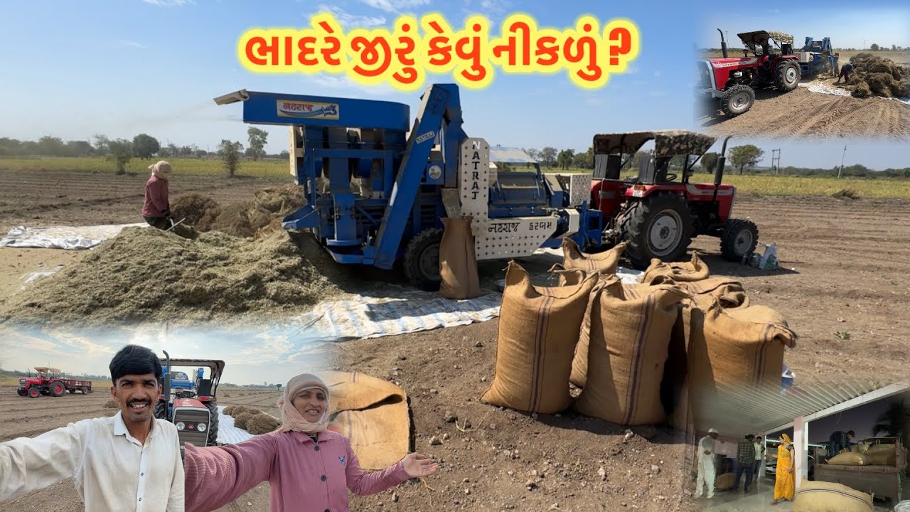 ભાદરે જીરું કેવું નીકળું ? || village life 