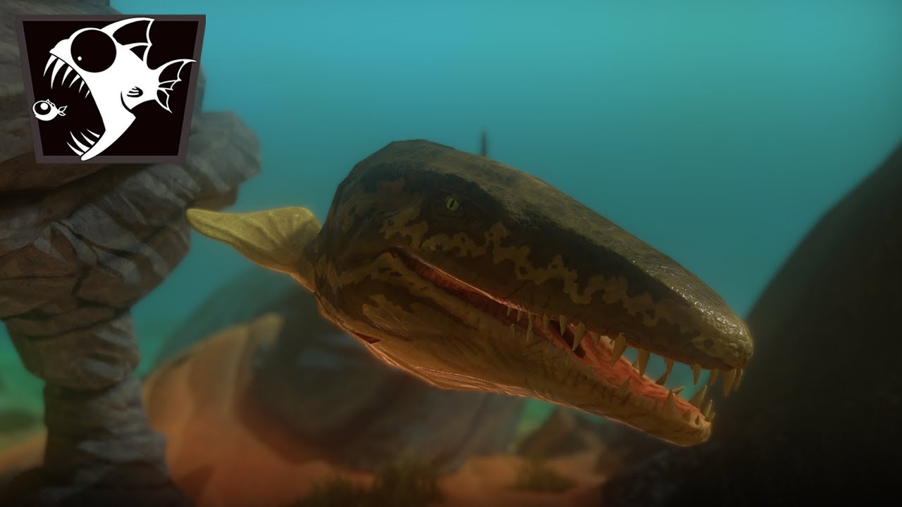 DÉCOUVERTE DU KRONOSAURUS ET DU PROGNATHODON AVEC L'ORQUE - Feed And Grow #44 (FR)