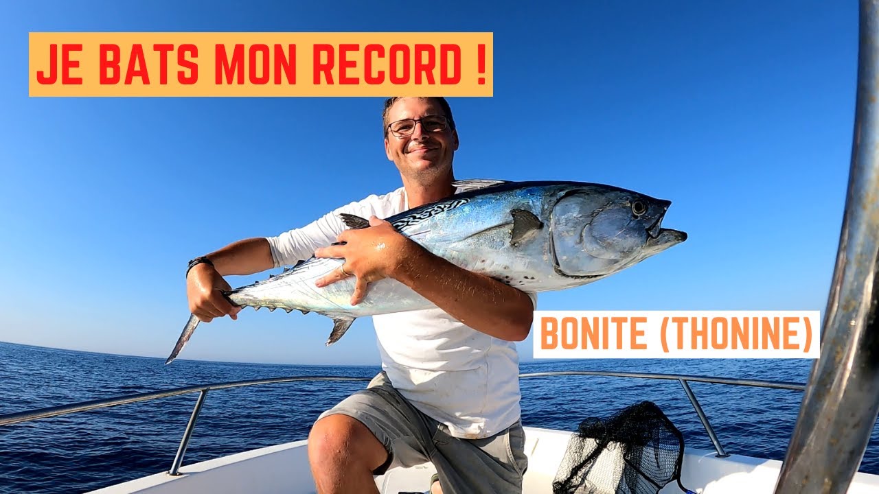 BONITES et CORYPHÈNES entre FRONTIGNAN et PALAVAS