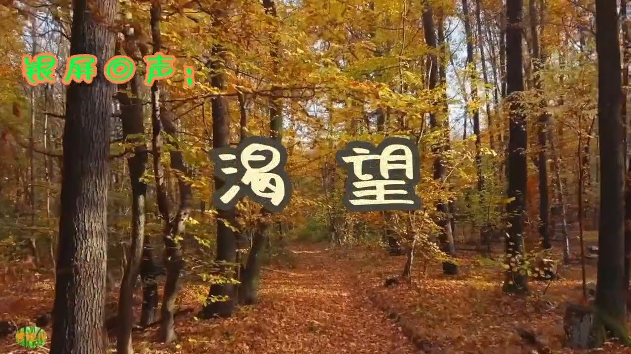 渴望 -  银屏回声。毛阿敏