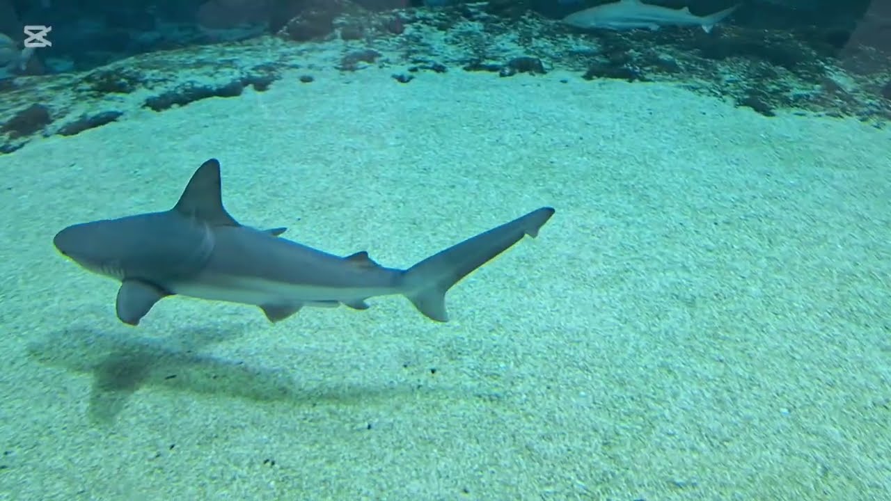 Orientarium - ZOO Łódź