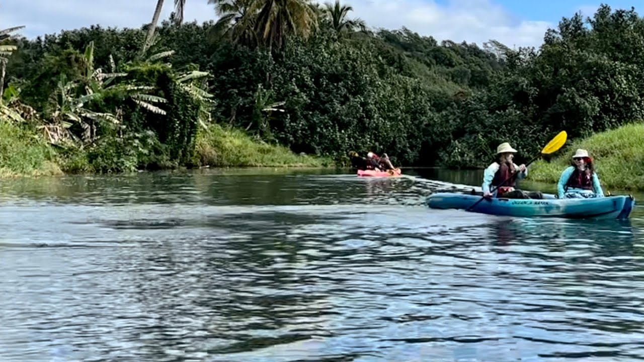 Kayaking Kauai: Hanalei River