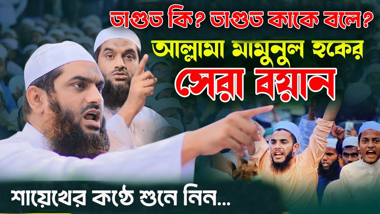 তাগুত কী? ইসলামী ব্যাখ্যা ও কেন তা থেকে দূরে থাকা জরুরি | আল্লামা মামুনুল হক | হৃদয়স্পর্শী আলোচনা