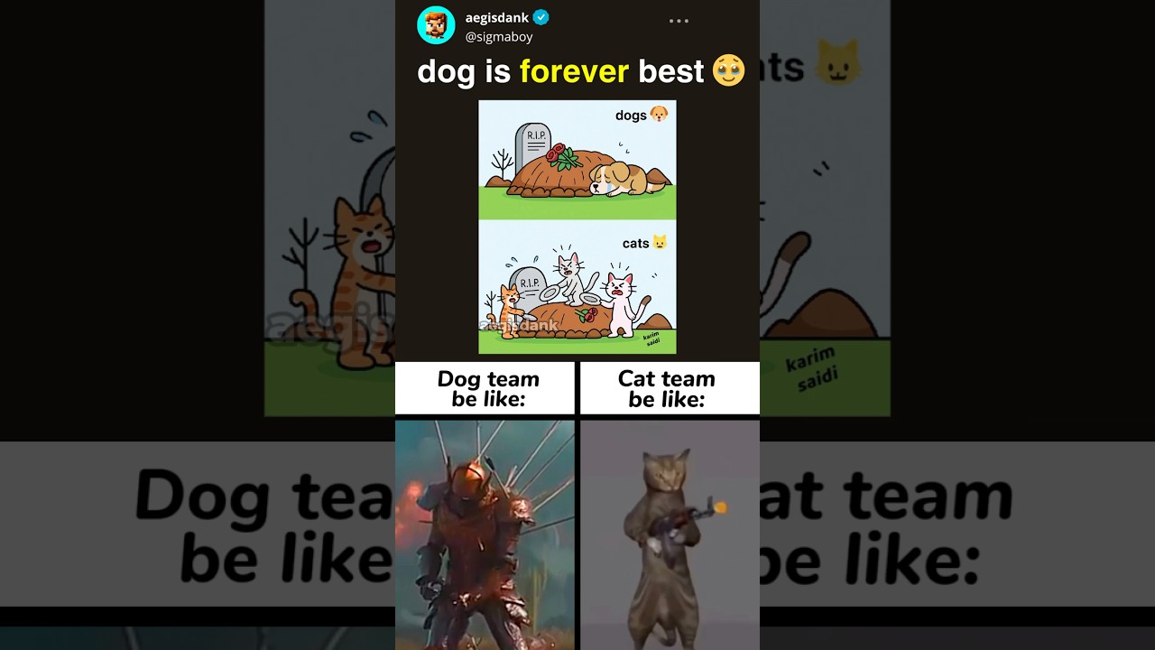 funny boy memes