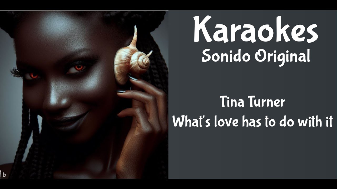 Tina Turner   What's Love Got to Do with It   Karaoke