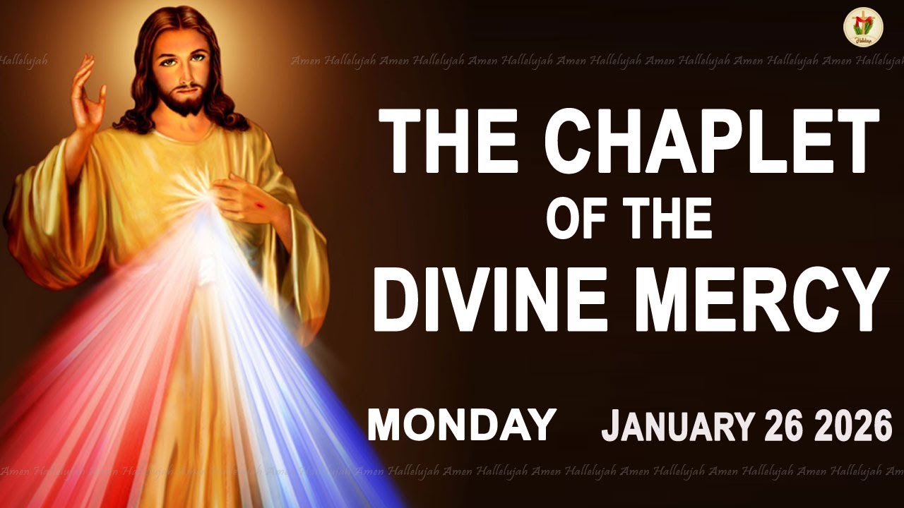 Chaplet Of The Divine Mercy I Monday January 26 2026 I Daily Divine Mercy Prayer