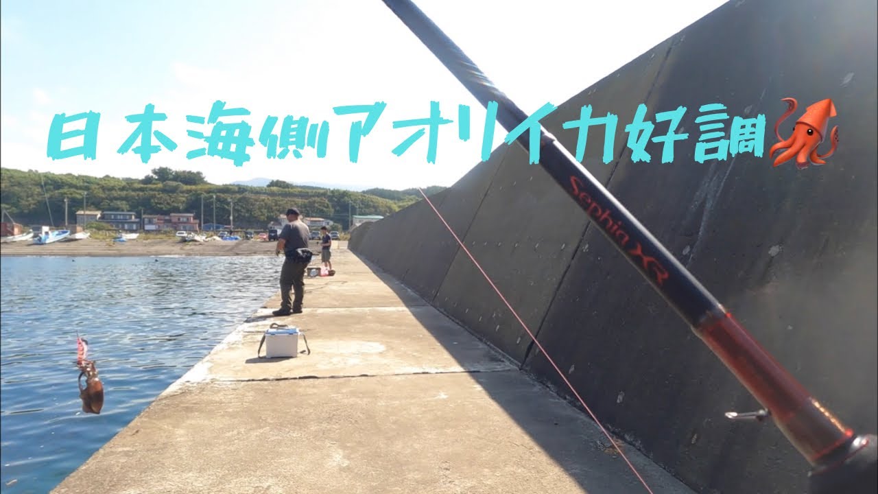 初心者でも簡単に釣れる！！青森県西海岸アオリイカが絶好調！？