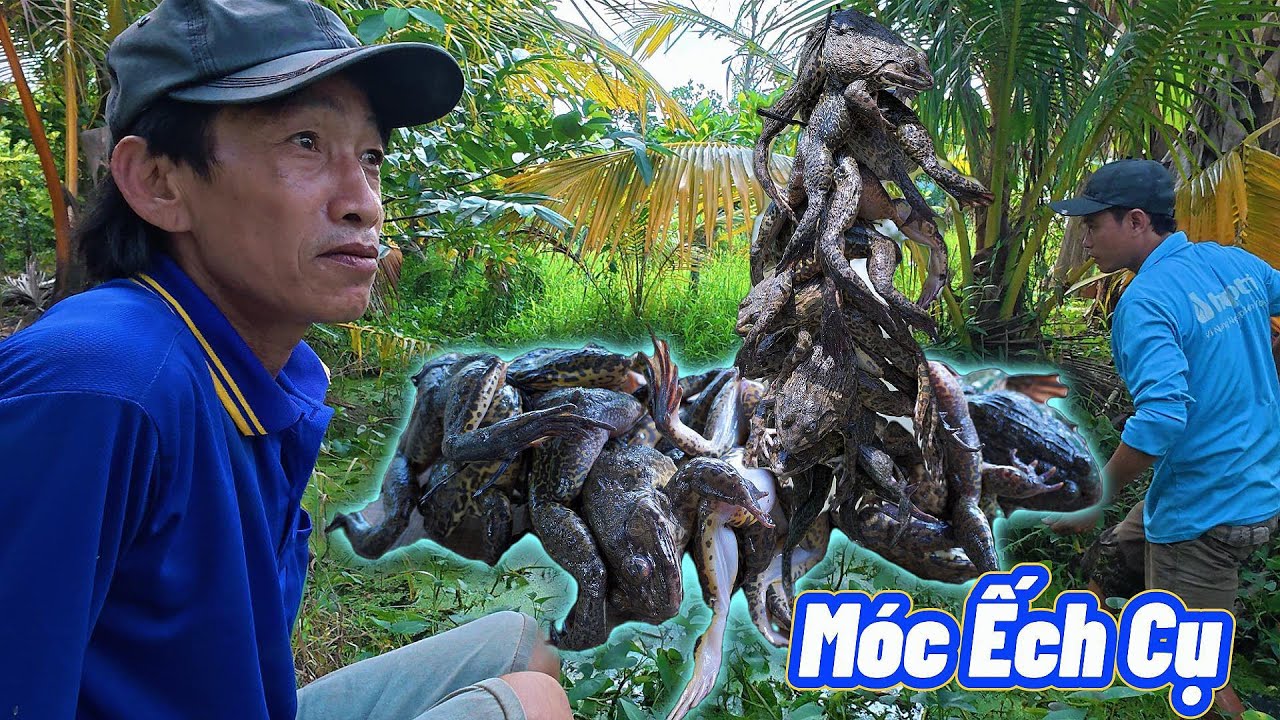Móc Ếch xào măng tầm vong 