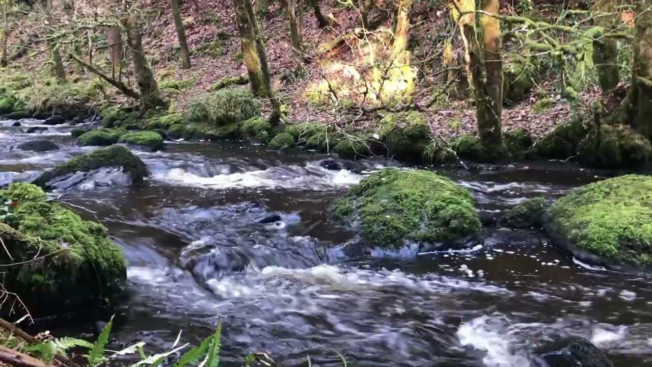 RIVER SOUNDS OVER 2 HOURS OF NATURAL COMFORTING SOUNDS FOR SLEEP, STUDY, FOCUS