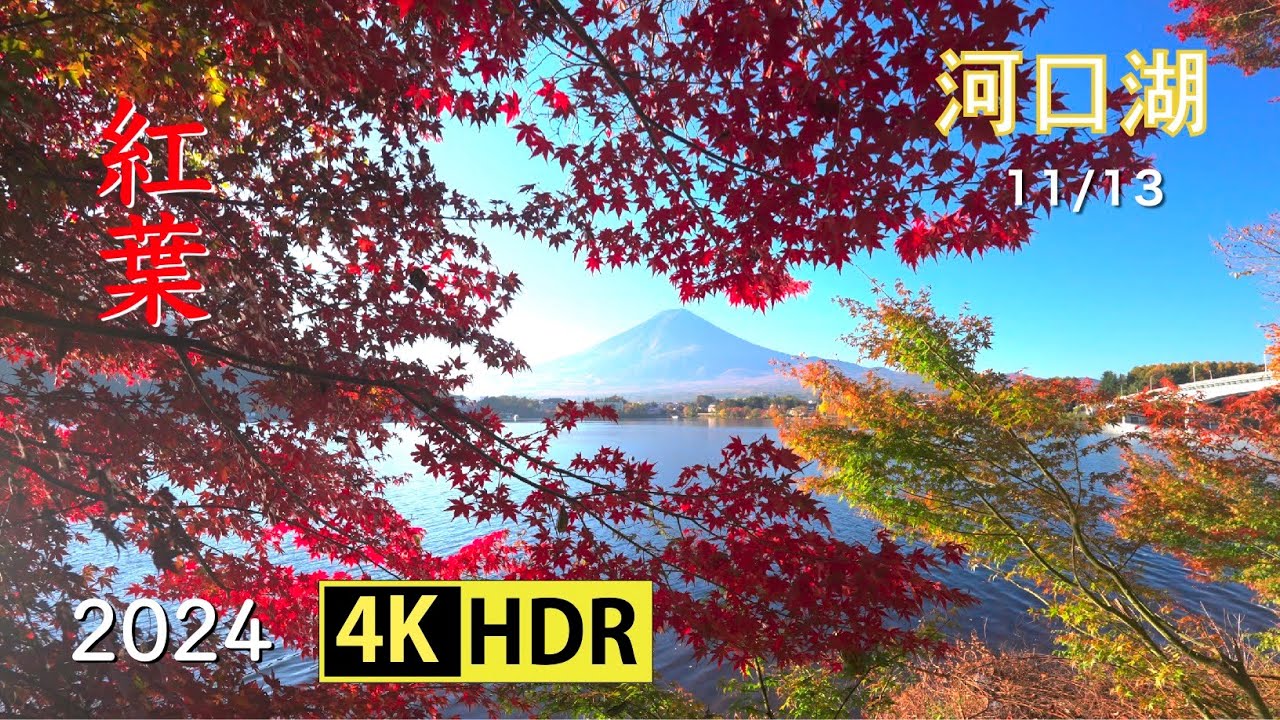 2024 河口湖の紅葉(4K-HDR) Autumn Foliage At Lake Kawaguchi (UHD-HDR)