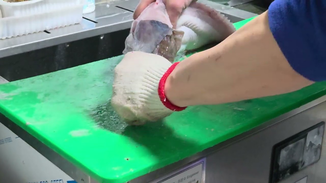 곰치손질 물메기손질