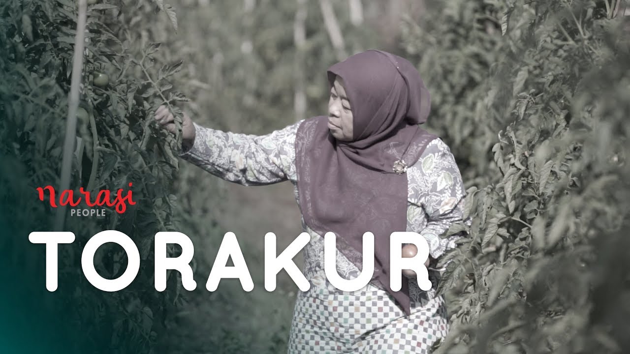 Torakur, Tomat Rasa Kurma | Narasi People