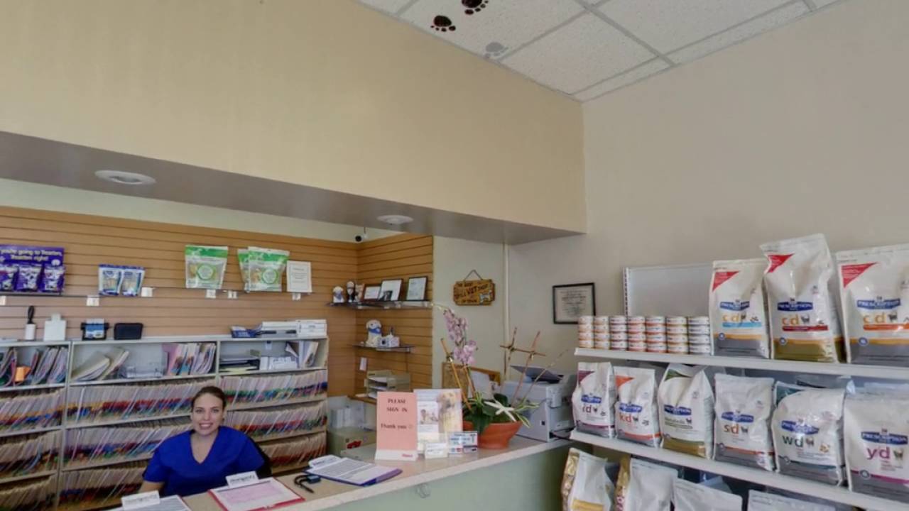 Ramblewood Animal Hospital | Coral Springs, FL | Veterinary Clinic