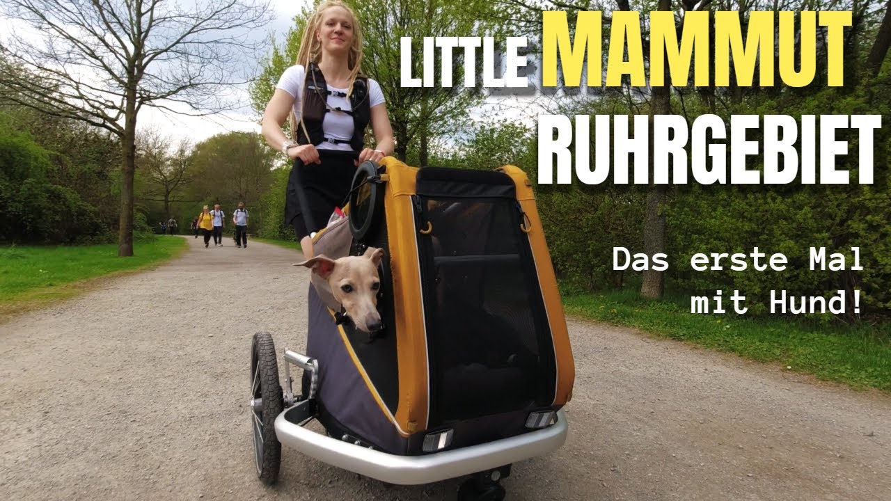 LITTLE MAMMUT RUHRGEBIET 2023 | Klein Edgars erster Mammutmarsch🚶🚶&zwj;♀️🐕 | Wandern mit dem Croozer Dog