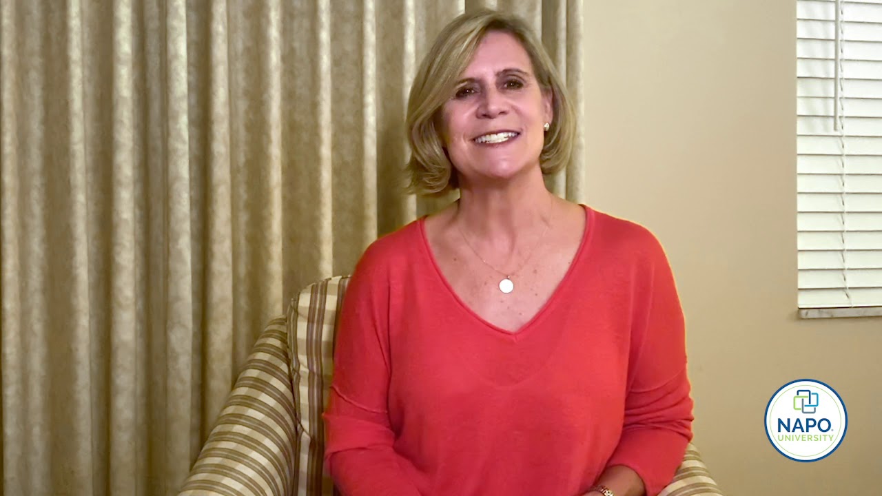 How to Become a Productivity Consultant with NAPO Member Since 2009, Jan Lehman