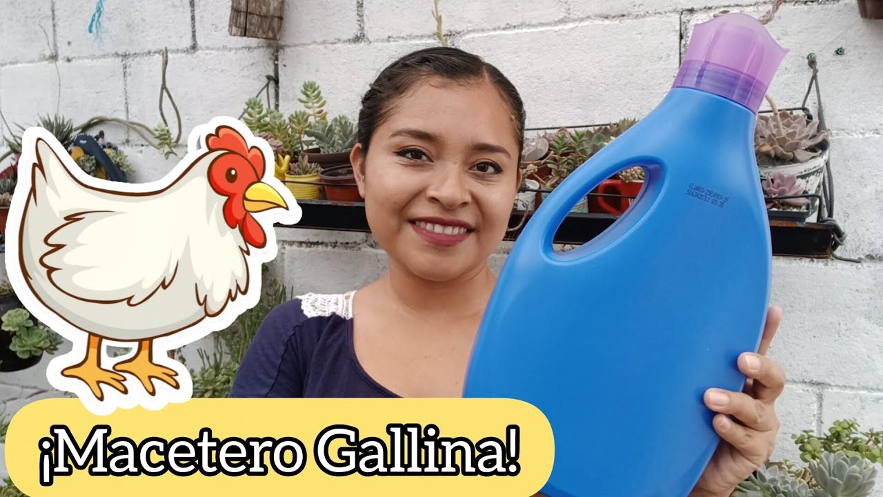 ¿Como hacer un MACETERO en FORMA  de GALLINA con botella de SUAVIZANTE?