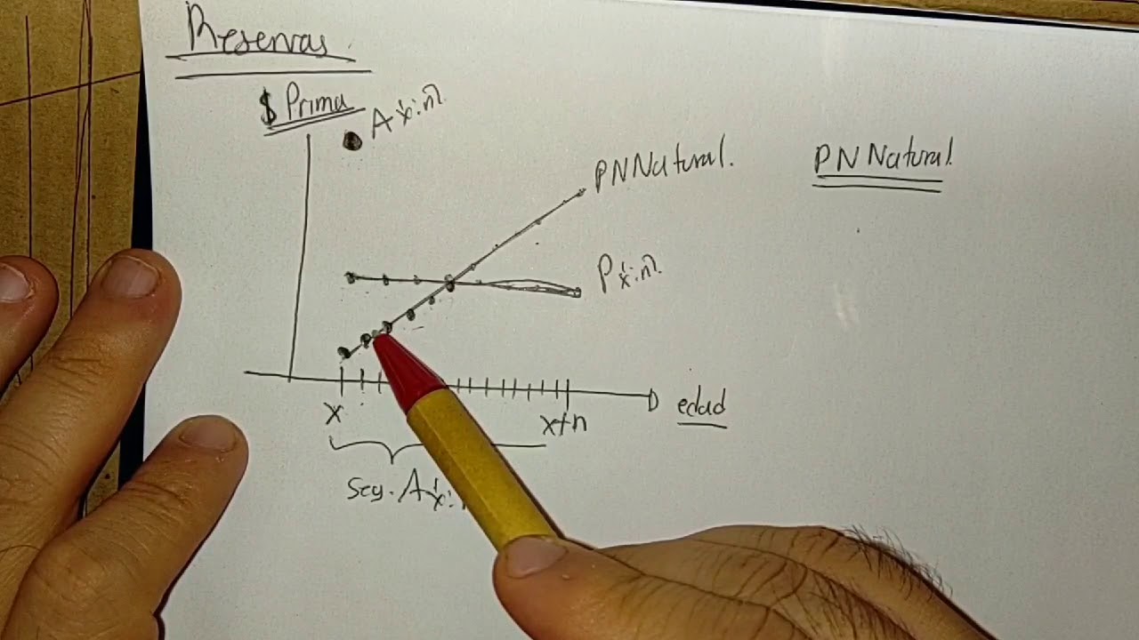 Reservas parte 1