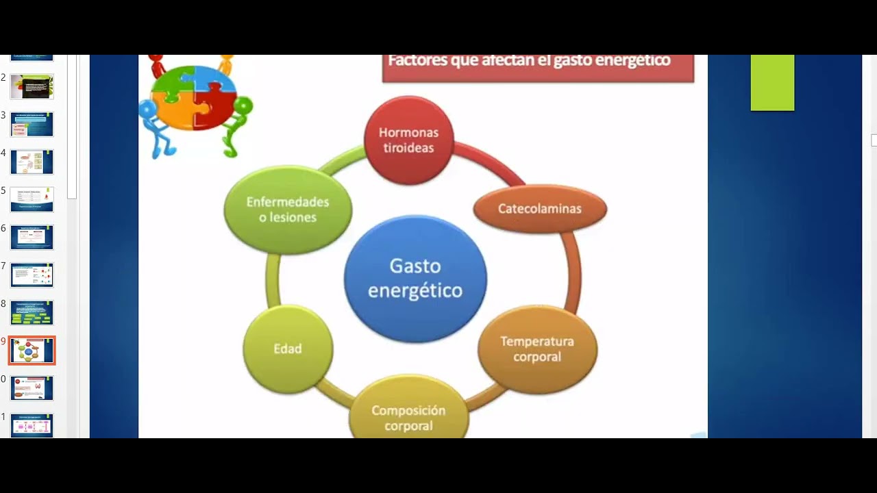 Cálculo Dietético en nutrición 1 sesión
