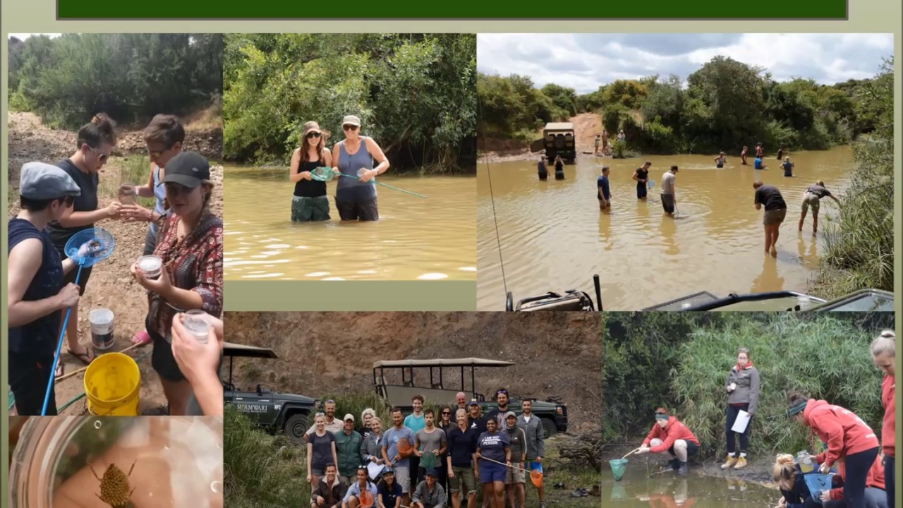 Shamwari Conservation Experience 2016 End of Year Overview