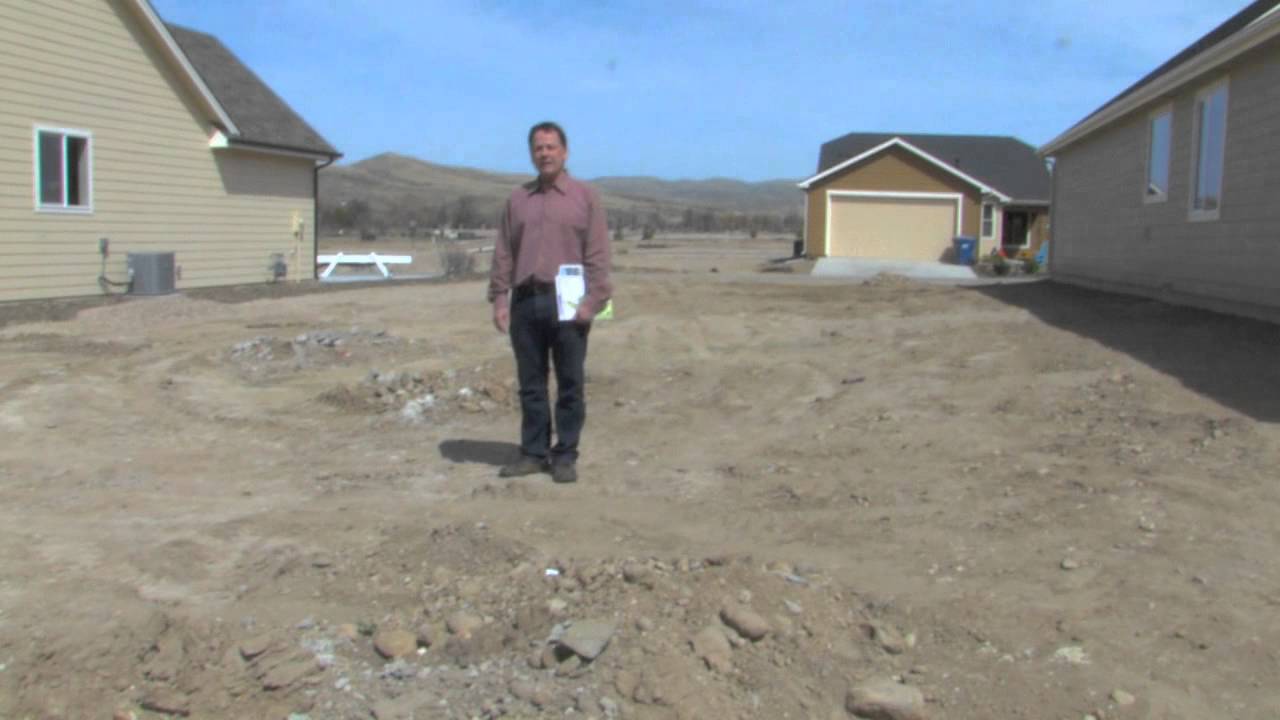 Avimor Update April 2012