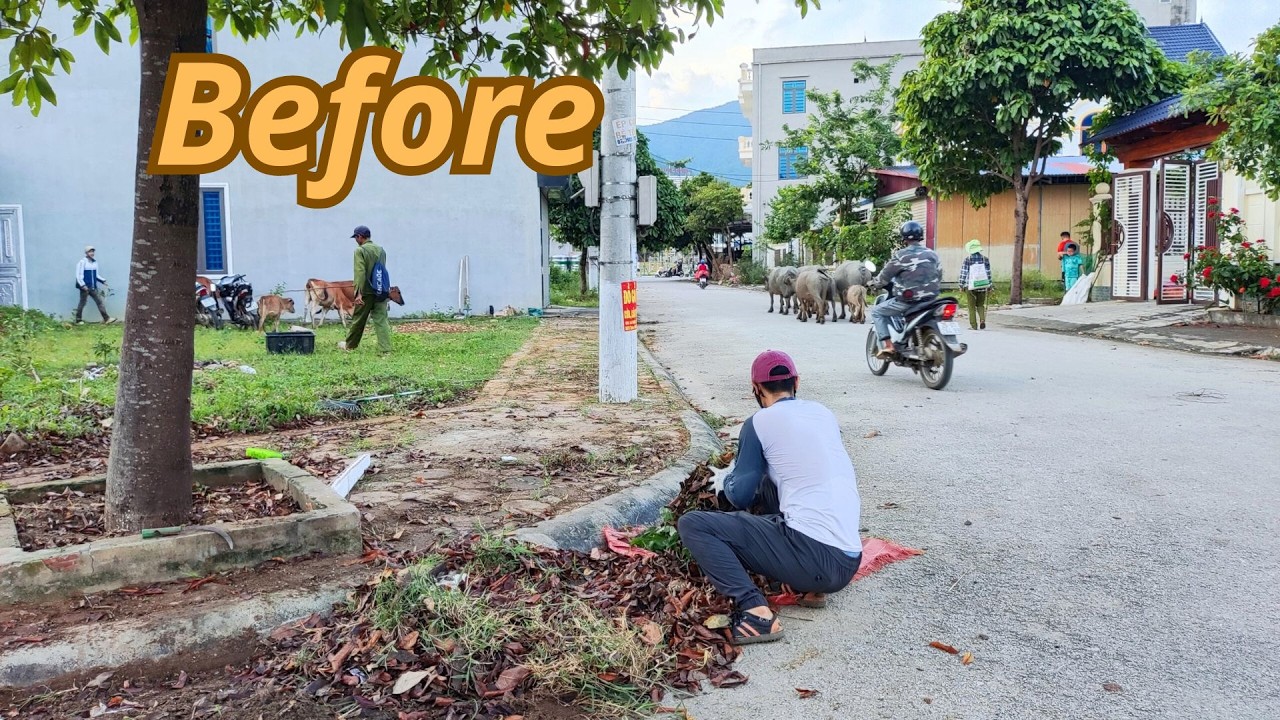 Efforts to restore damaged sidewalks and remove dense weeds encroaching on pathways.