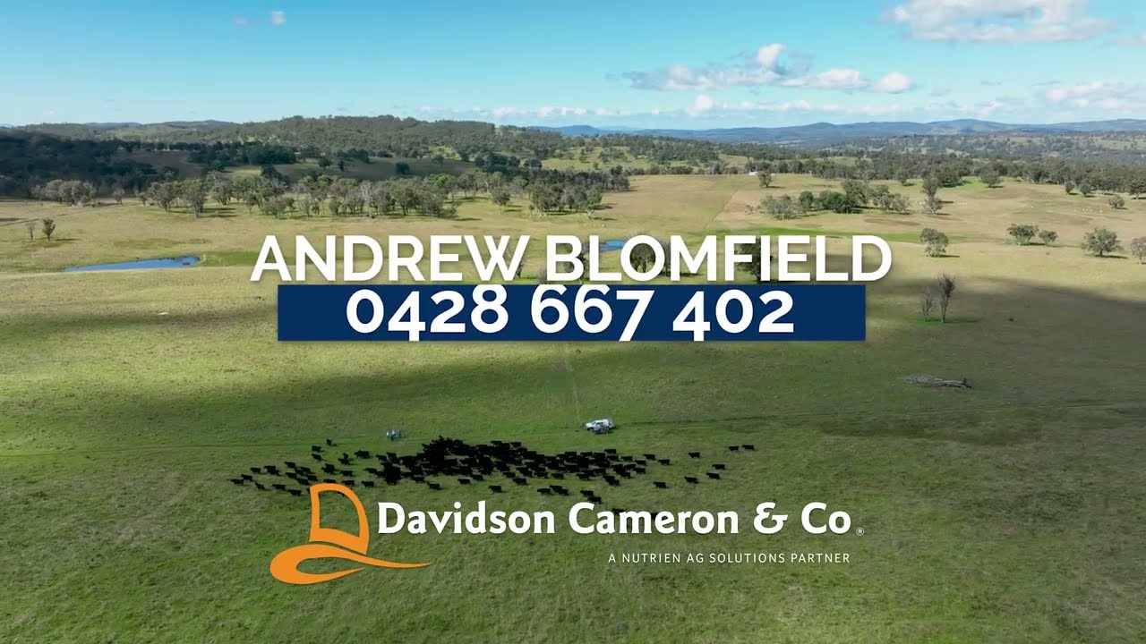 Davidson Cameron & Co | 