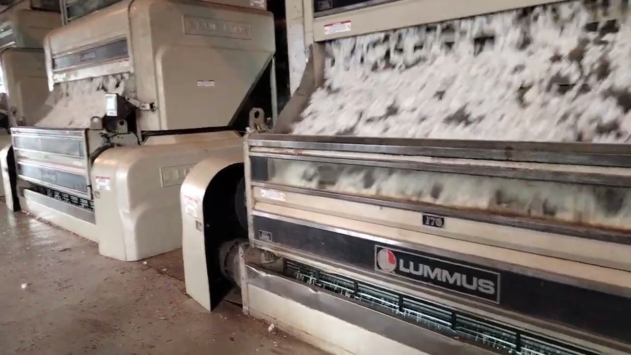 Usine d'&eacute;grenage du #coton 😲 s&eacute;paration graines et fibres