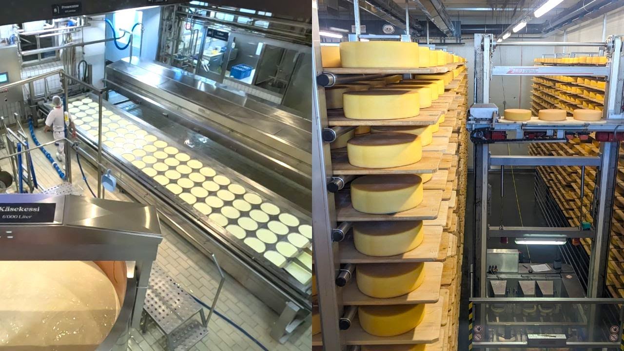 Making Cheese with a Mountain View!