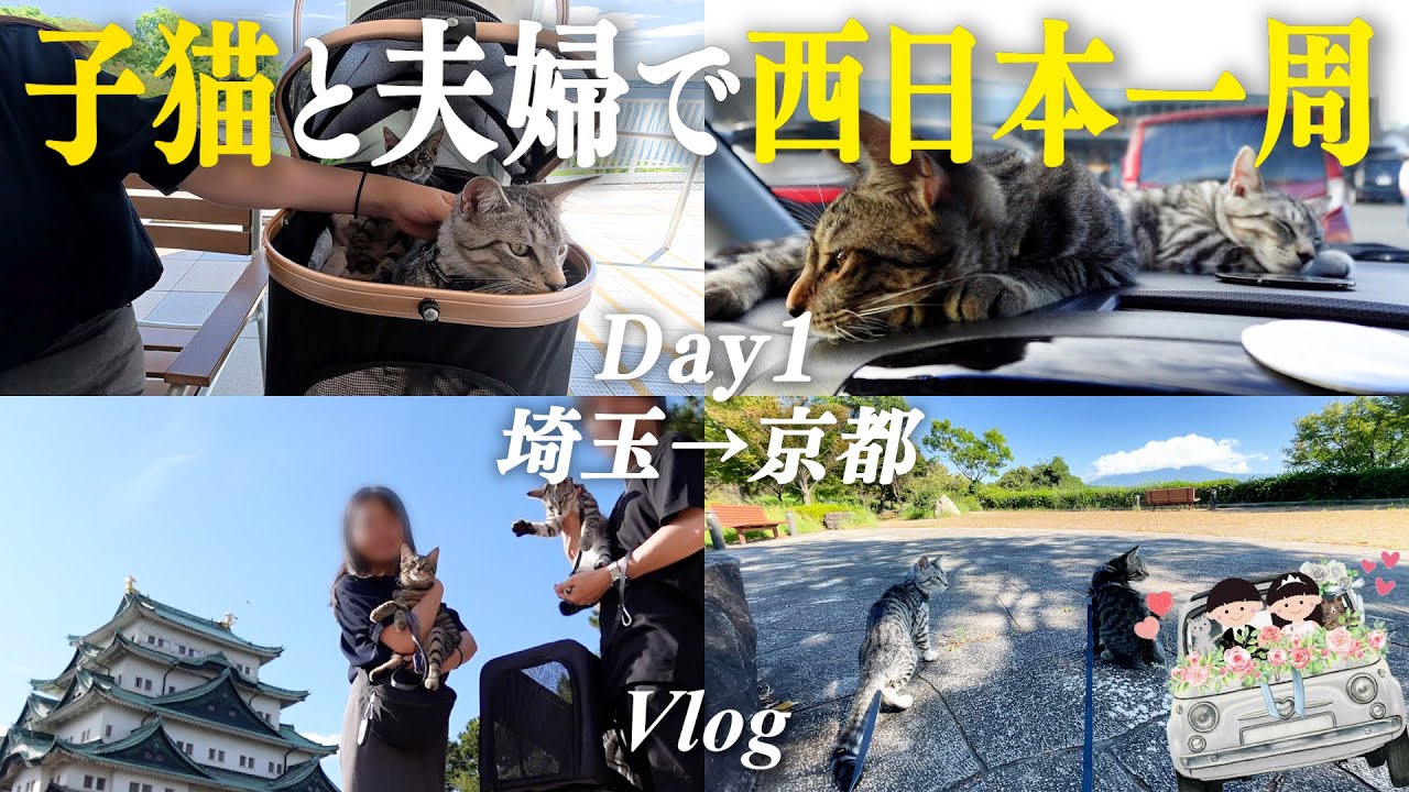子猫たちとはじめてだらけの西日本一周旅へ出発！【西日本一周vlog#1】