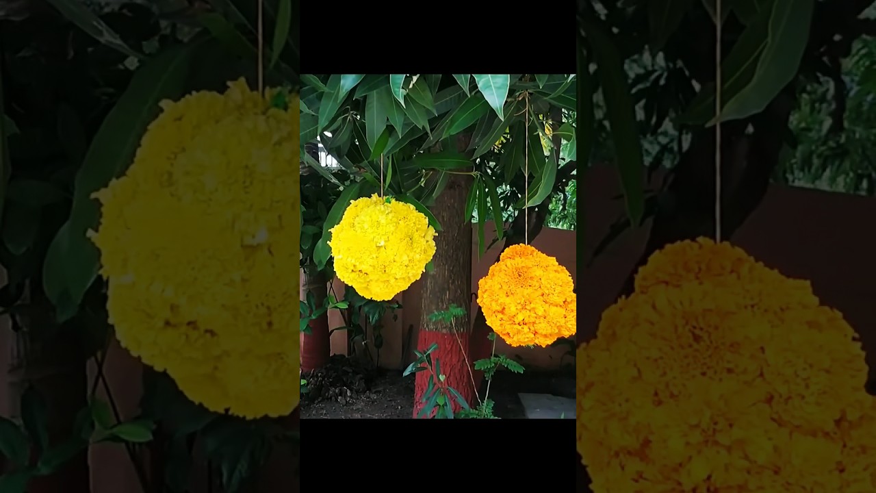 Floral balls #floral #floraldecor #floraldecorations #marigold #festivedecor #decoration #decor