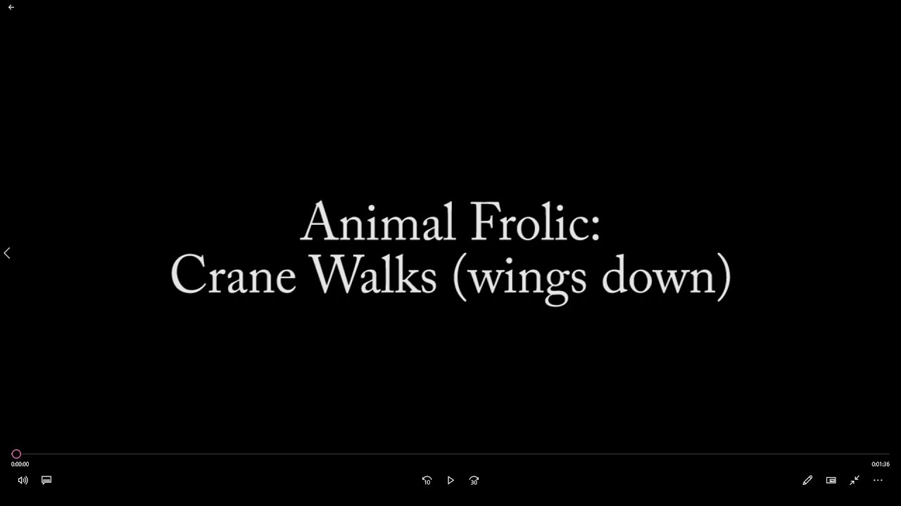 Animal Frolics qigong: Crane Walks (wings down)