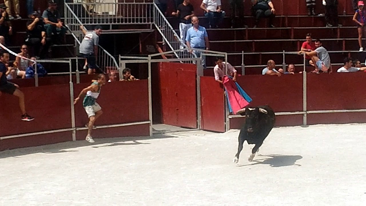 Encierro en BLANCA  agosto  2018 entrada  A la plaza