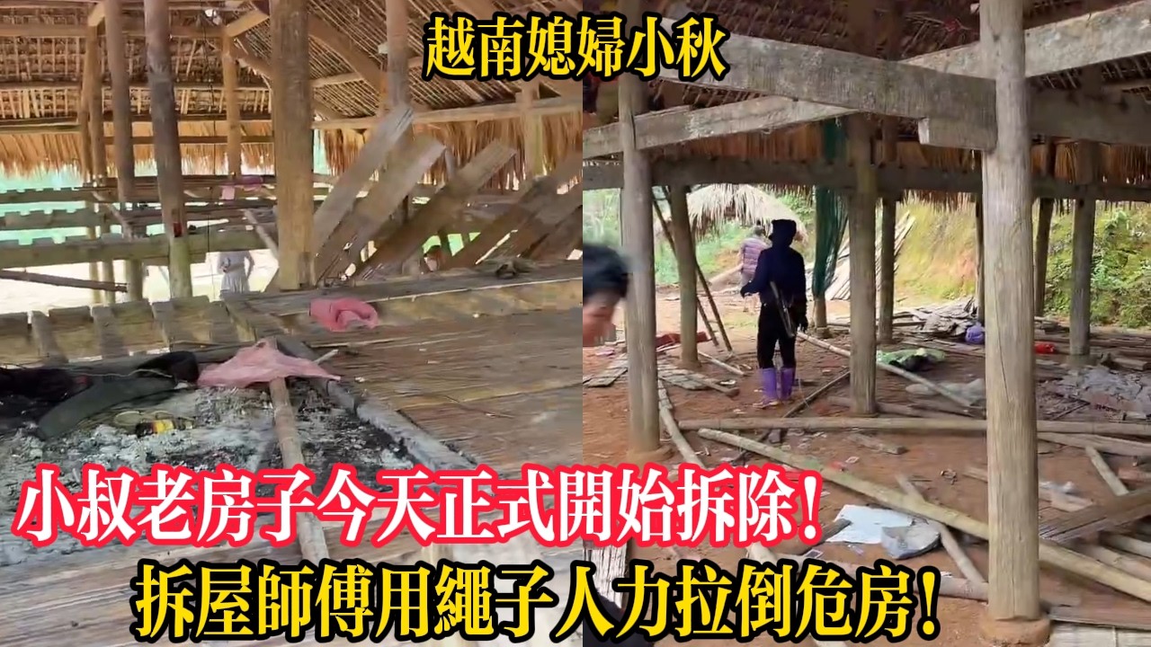小叔老房子今天正式開始拆除！拆屋師傅用繩子人力拉倒危房！【越南媳婦小秋】