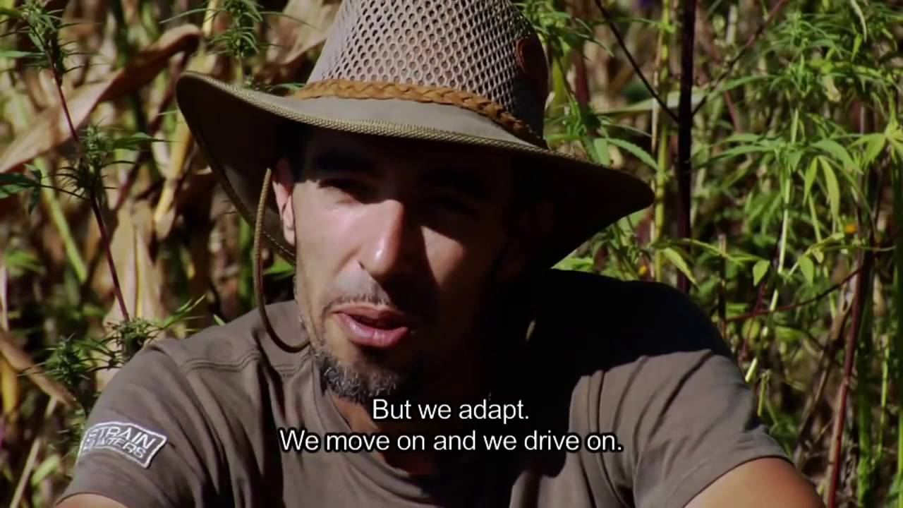 Strain Hunters India Expedition FULL HD MOVIE