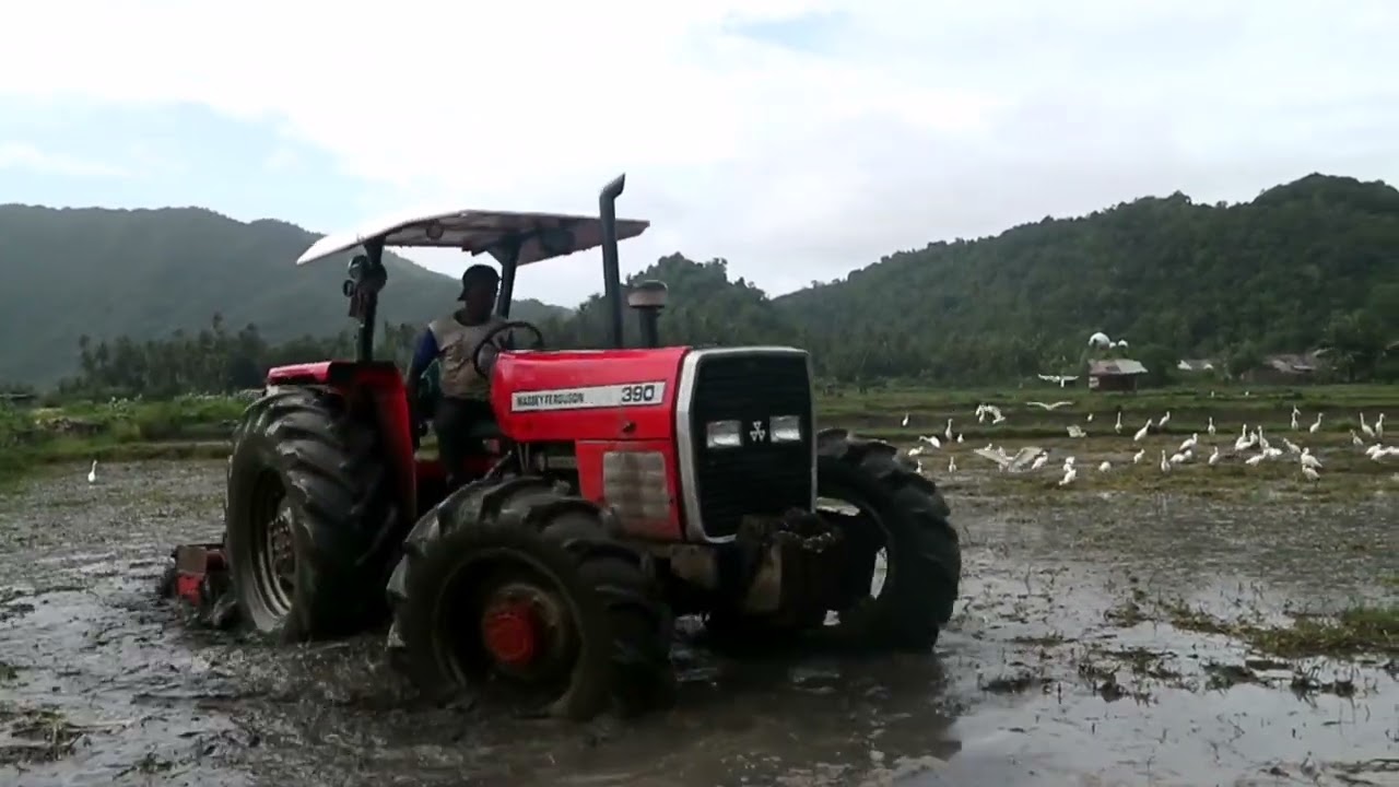 LAHAN DALAM DAN BERAIR | MASSEY FERGUSON | MF390