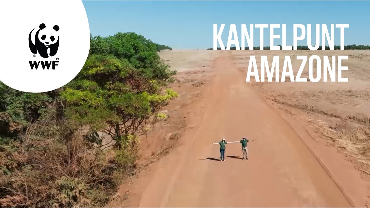 Kantelpunt Amazone