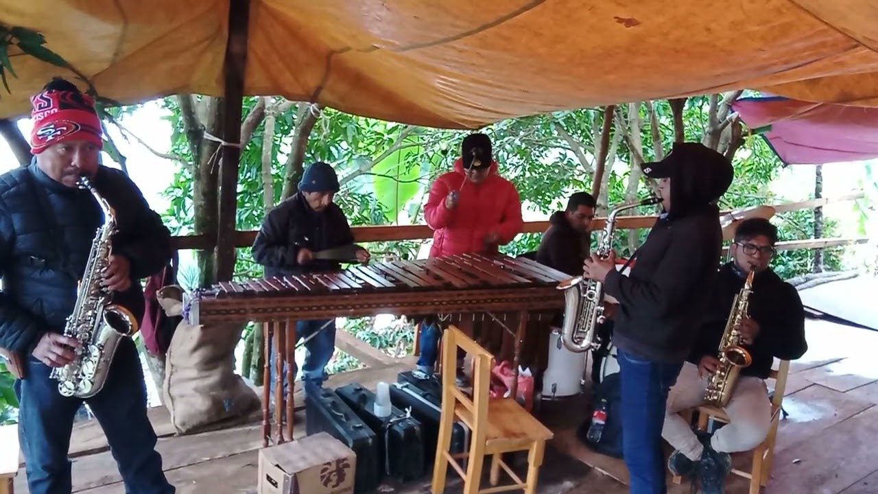 Marimba orquesta ecos del trópico En Guadalupe la cienega Cuyamecalco villa de Zaragoza 30/12/25