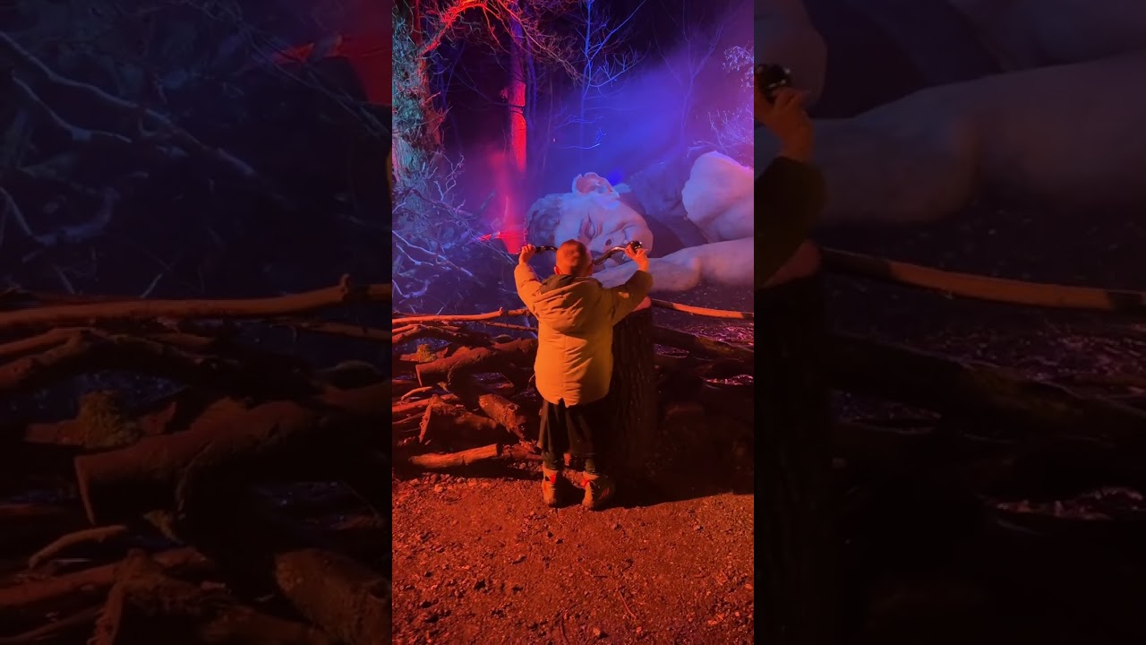 Harry Potter forest 2023